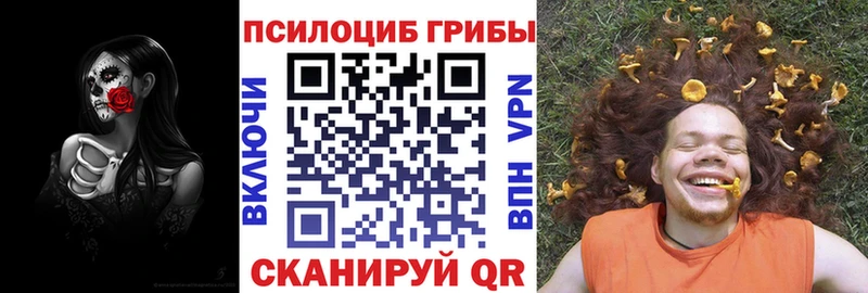 Псилоцибиновые грибы Magic Shrooms  Купить где  Новоржев 